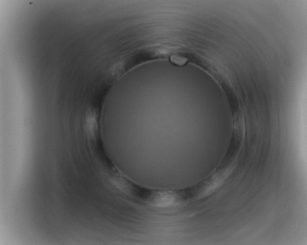 X0000115330127200911091253