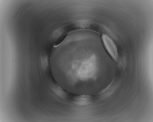 X0000115330128200911091253