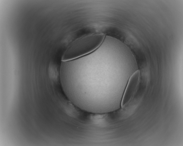 X0000115330129200911091253