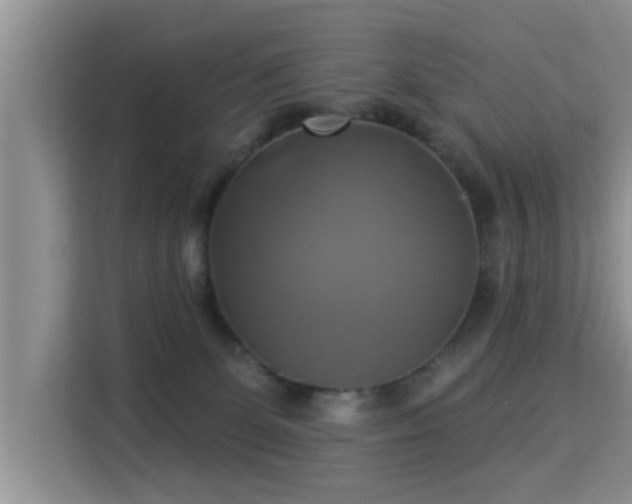 X0000115330131200911091253