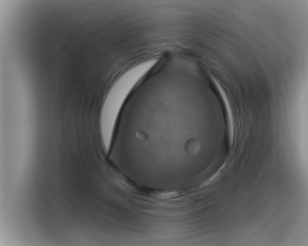 X0000115330132200911091253