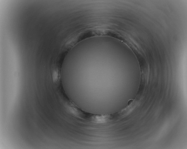 X0000115330134200911091253