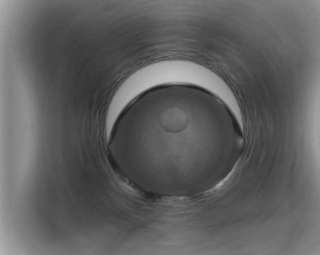 X0000115330136200911091253