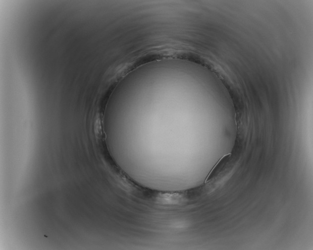 X0000115330137200911091252