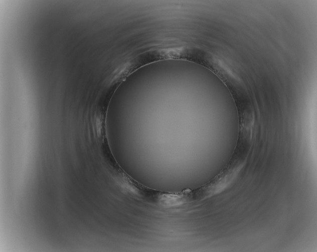 X0000115330139200911091252