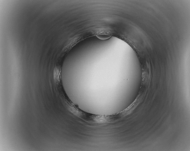 X0000115330142200911091252