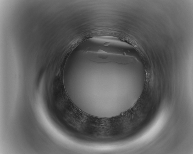 X0000115330143200911091252