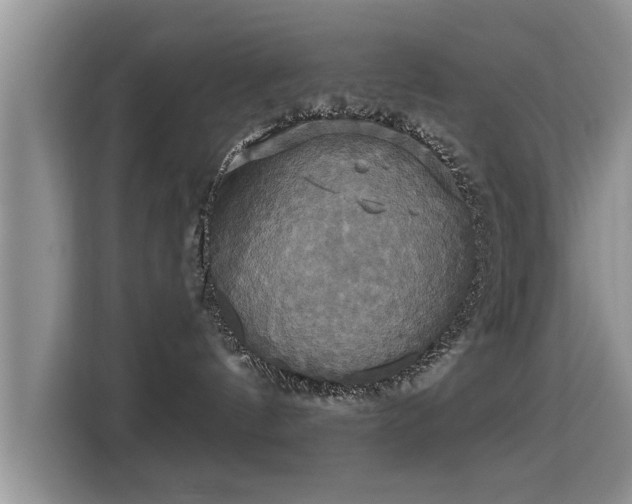 X0000115330144200911091252