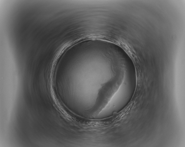 X0000115330145200911091252