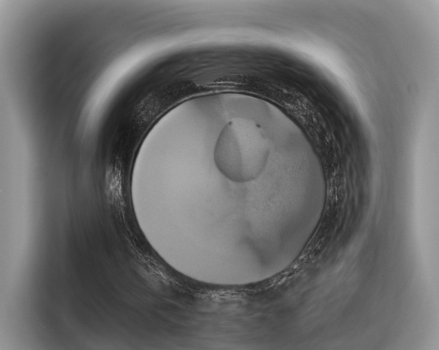 X0000115330146200911091252