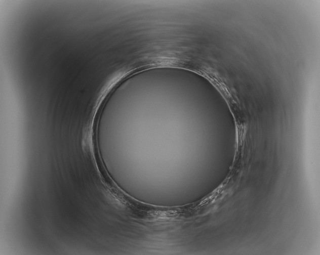 X0000115330147200911091252