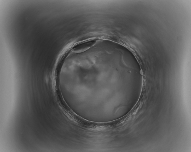 X0000115330149200911091252