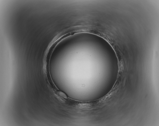 X0000115330150200911091252