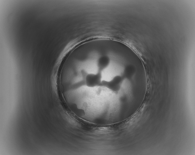 X0000115330151200911091252