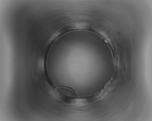 X0000115330154200911091252