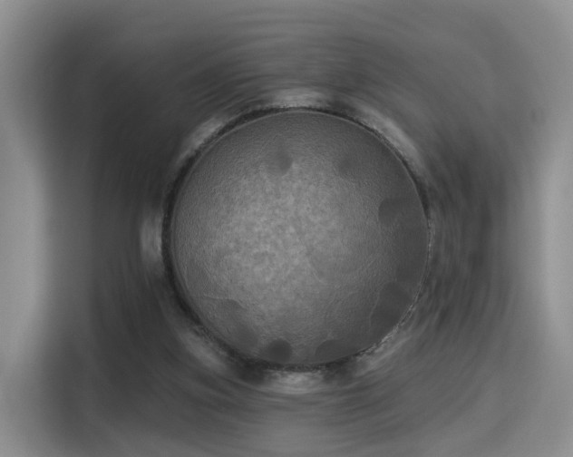 X0000115330155200911091252
