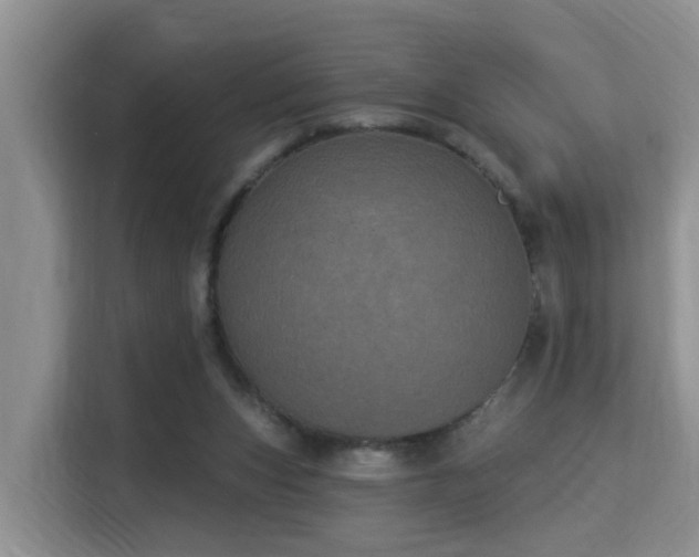 X0000115330159200911091252