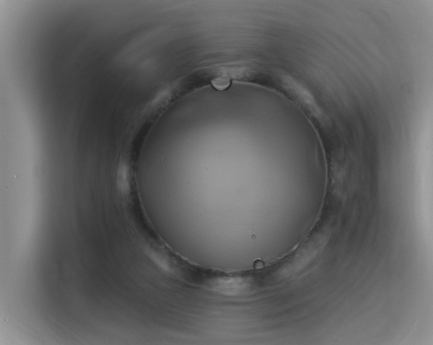 X0000115330161200911091252