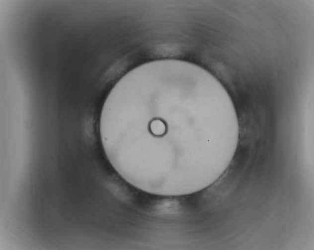 X0000115330162200911091252