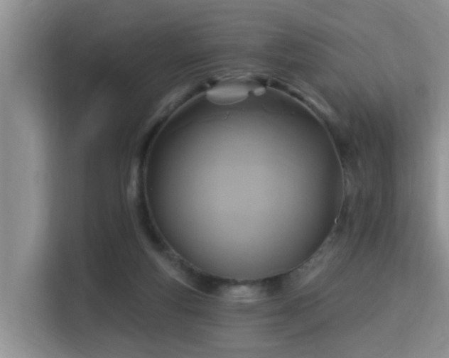 X0000115330163200911091252