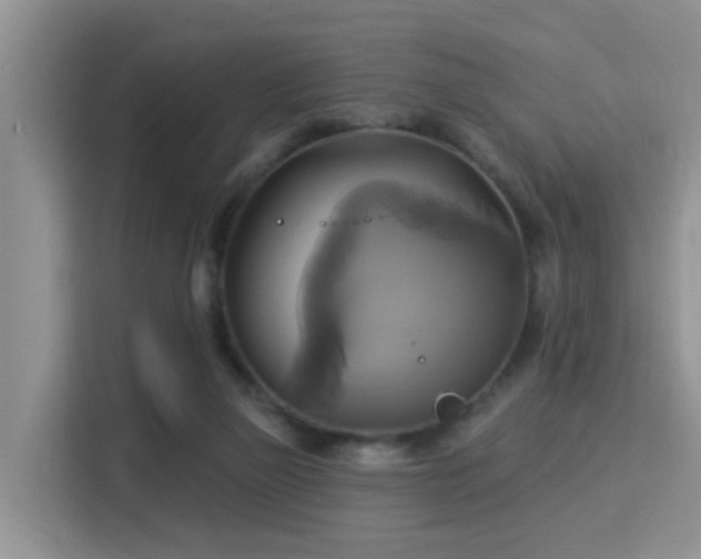 X0000115330165200911091252