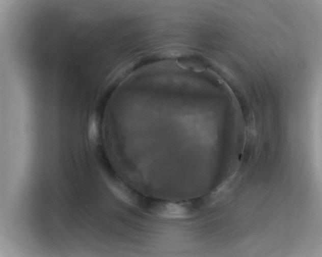 X0000115330166200911091252