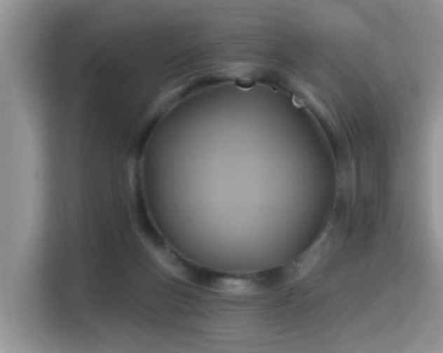 X0000115330167200911091252