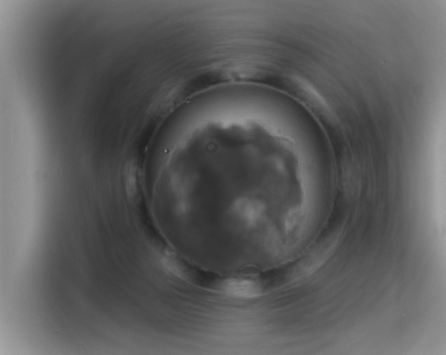 X0000115330169200911091252