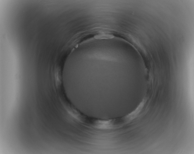 X0000115330170200911091252