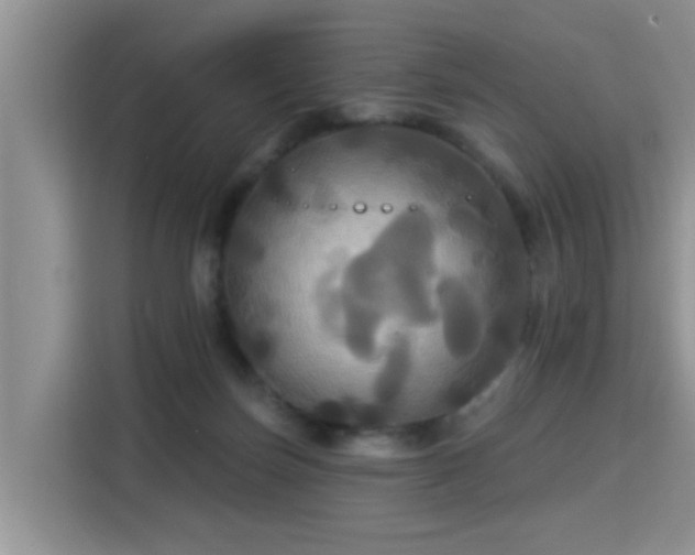 X0000115330171200911091252
