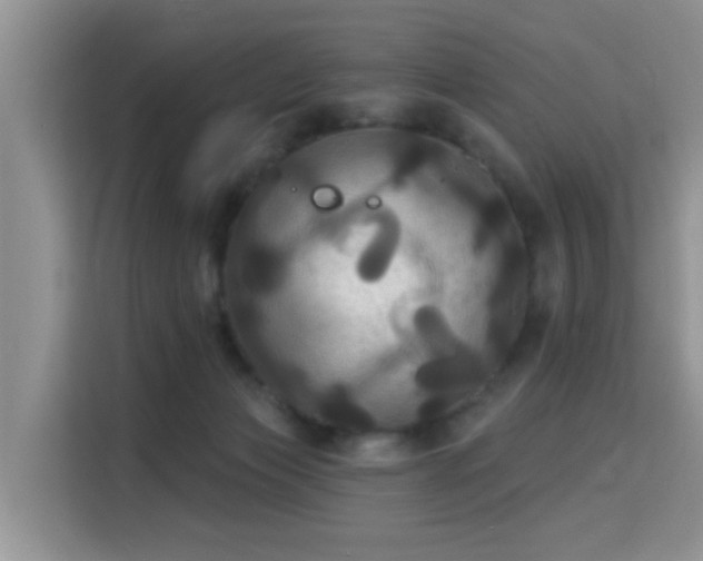 X0000115330173200911091252