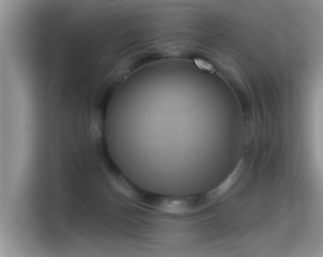 X0000115330174200911091252