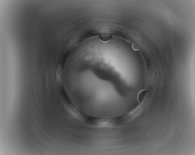 X0000115330175200911091252