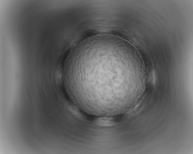 X0000115330179200911091252