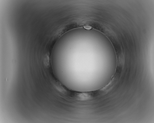 X0000115330183200911091252