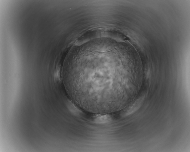 X0000115330185200911091252