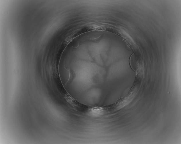 X0000115330189200911091252