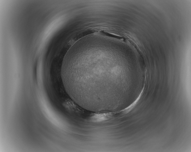 X0000115330190200911091252