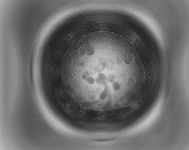 X0000115330191200911091252