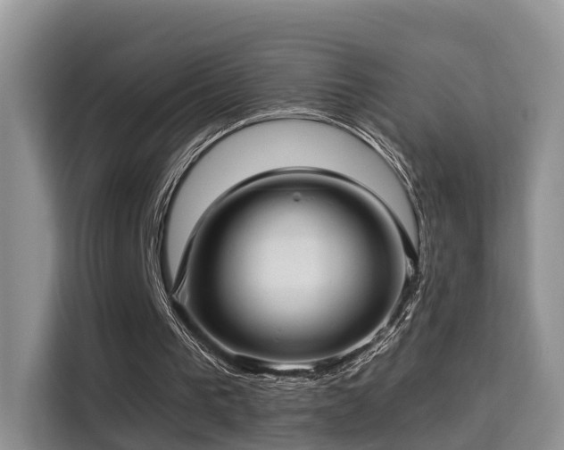 X0000115330193200911091252