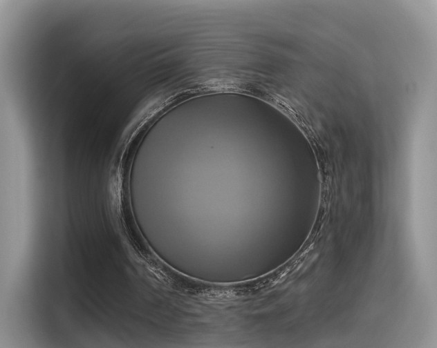 X0000115330194200911091252