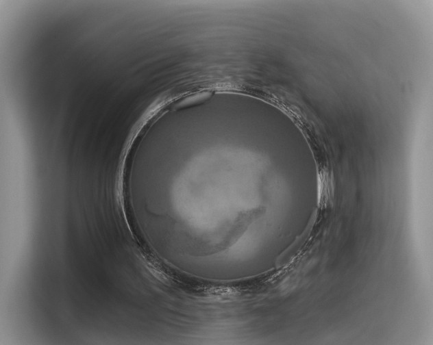 X0000115330195200911091252