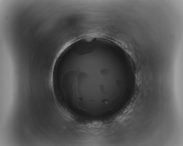 X0000115330196200911091252