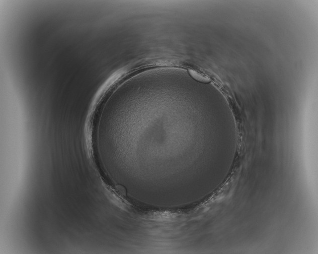 X0000115330197200911091252