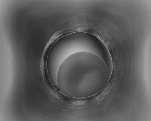 X0000115330198200911091252