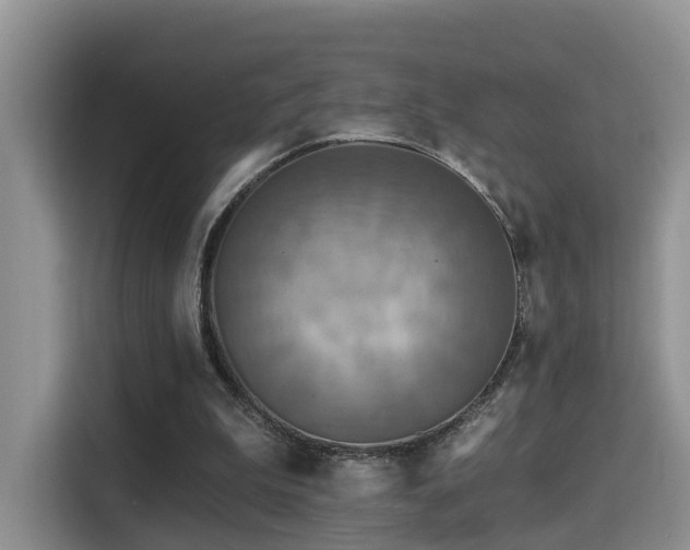 X0000115330199200911091252