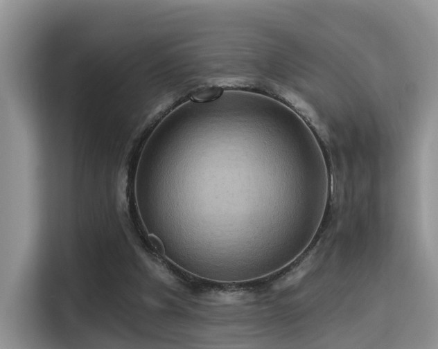 X0000115330201200911091252