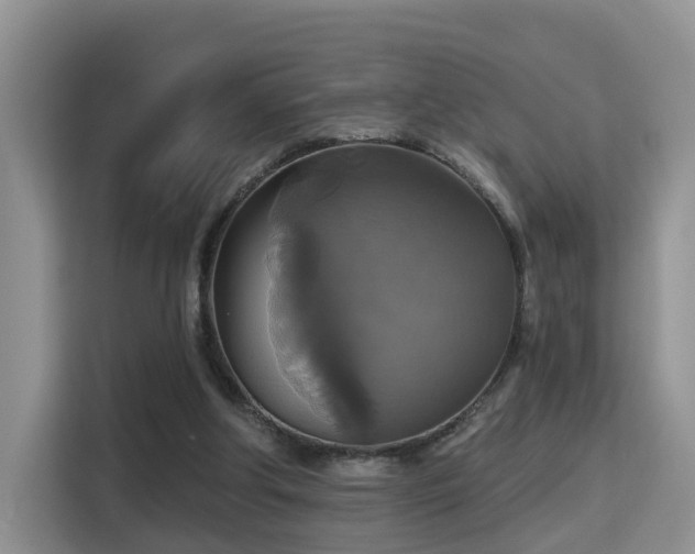 X0000115330202200911091252