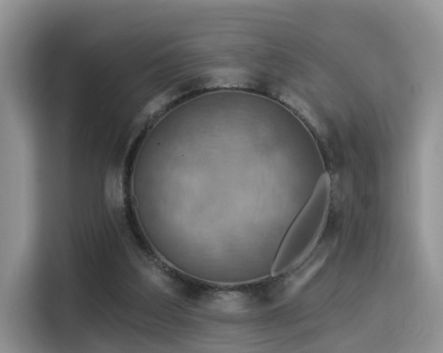 X0000115330203200911091252
