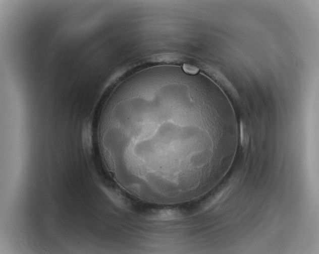 X0000115330204200911091252